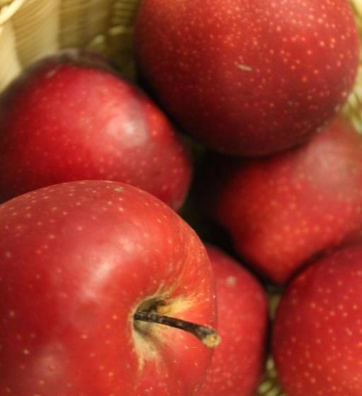 Bed and Breakfast Il Borgo Antico