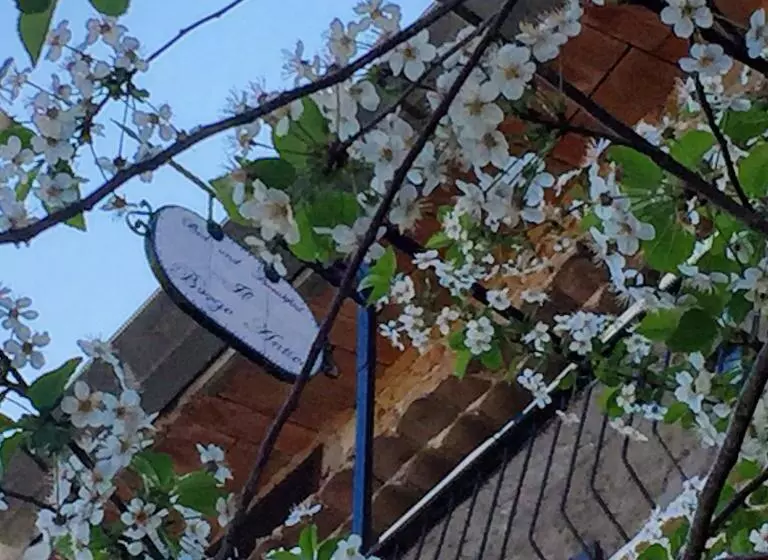 Aamiaismajoitus (B&B) Il Borgo Antico