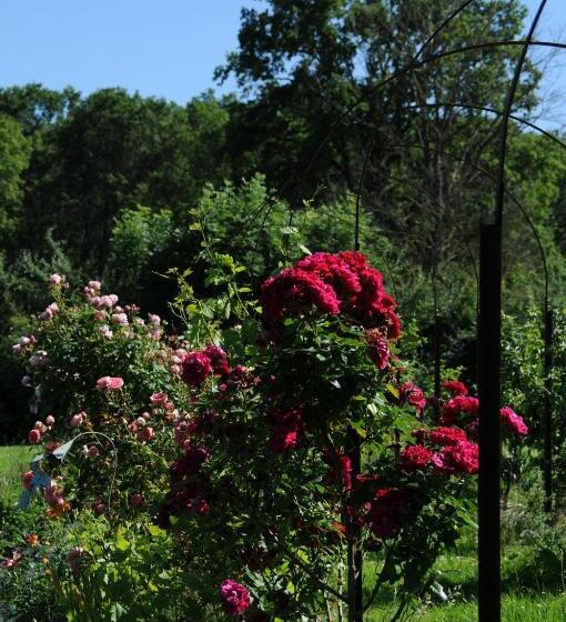 Bed and Breakfast Le Champ Bagnolet