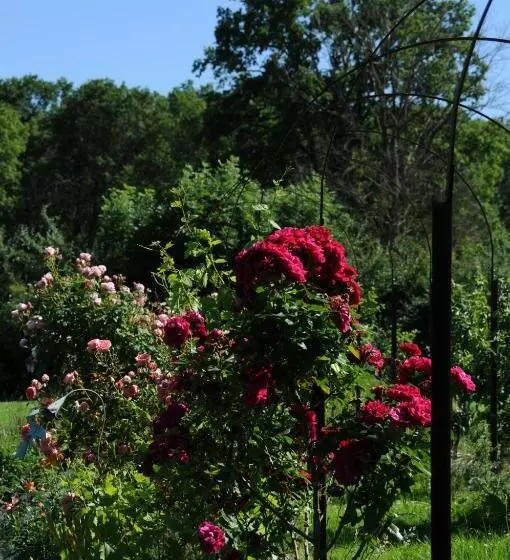 Aamiaismajoitus (B&B) Le Champ Bagnolet