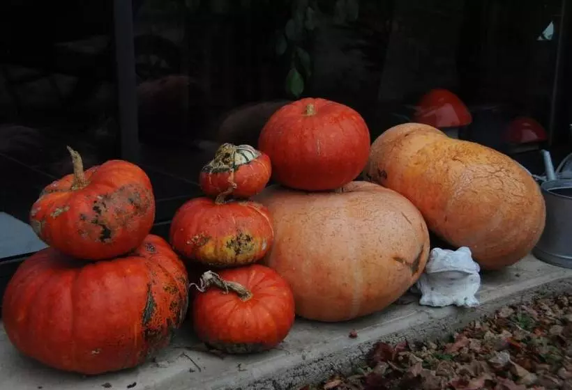 Aamiaismajoitus (B&B) Le Champ Bagnolet
