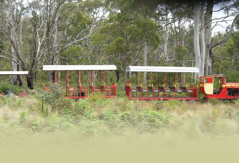 Bed and Breakfast Mountain View Motel