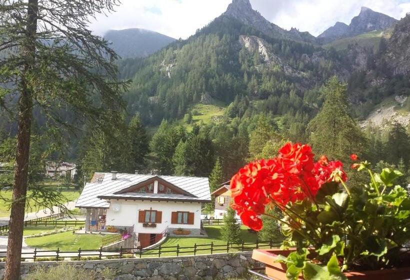 ホテル Chalet Rosa Dei Monti