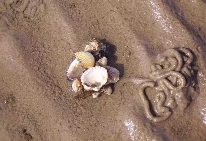 Hotelli Nordsee Lodge