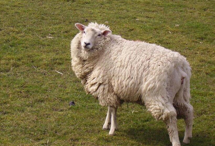 호텔 Nordsee Lodge