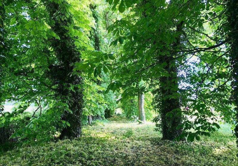 ペンション Chateau De Mathod Chambres D Hotes