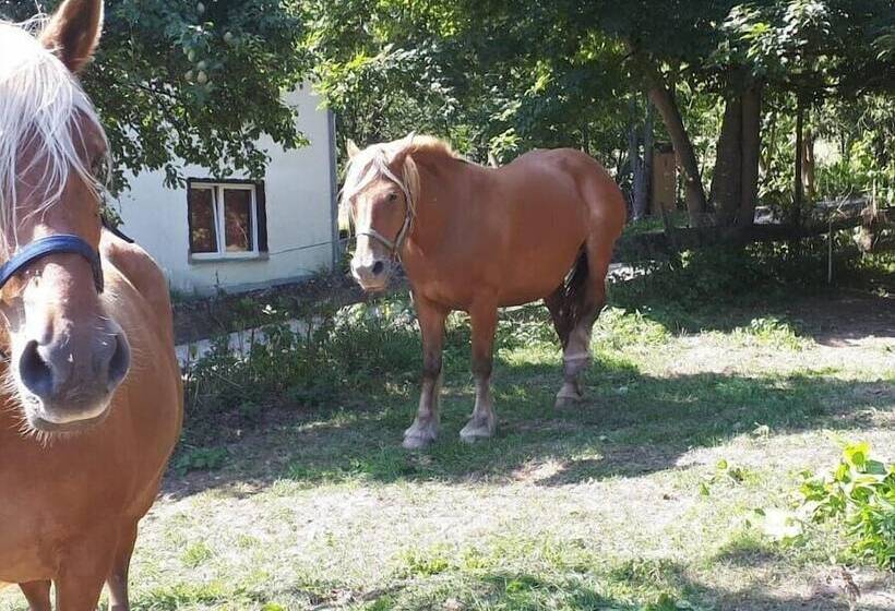 Пансион Gödelsteinhof