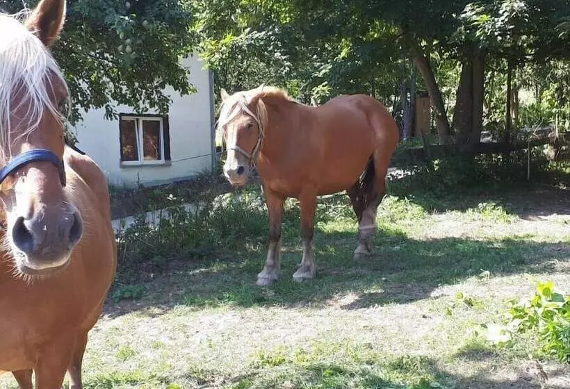 Majatalo Gödelsteinhof