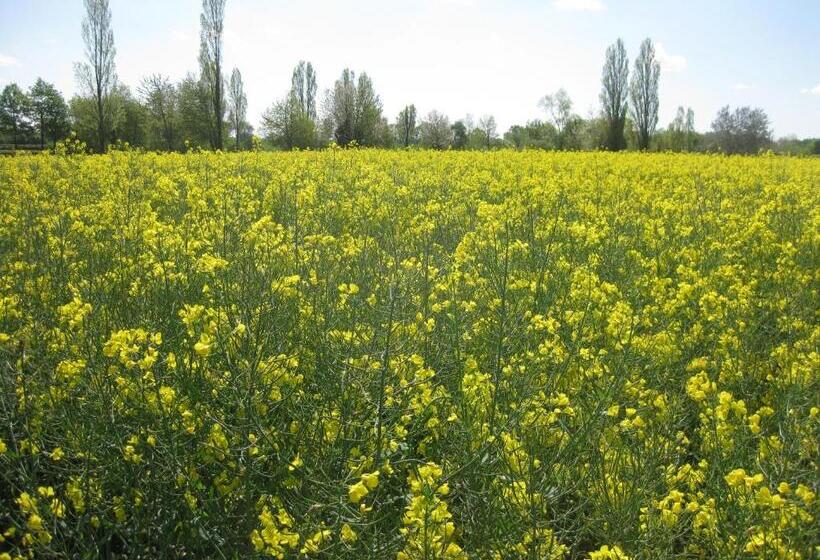 Пансион Le Petit Cochon Chambre D` Hotes