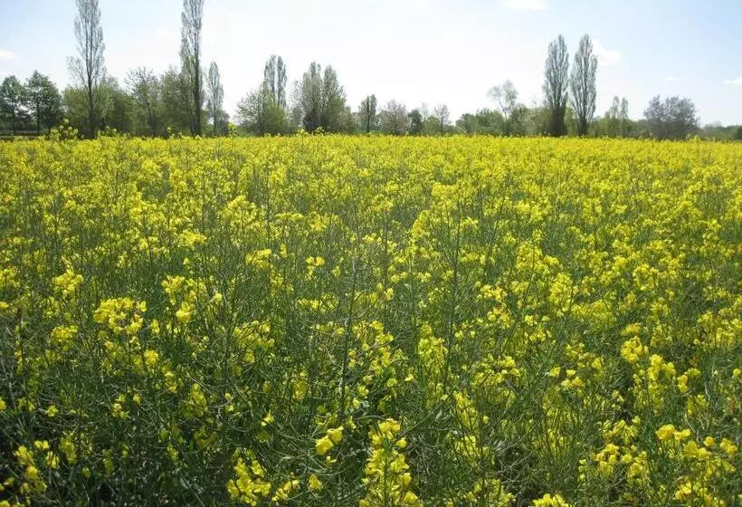Majatalo Le Petit Cochon Chambre D` Hotes
