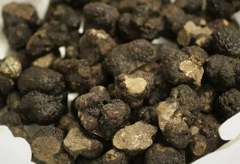 Majatalo Le Vic De De Lomagne