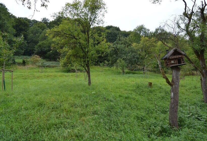 Cozy Apartment In Immerath Near Fishing