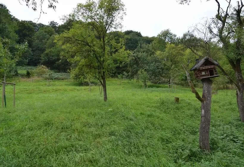 Cozy Apartment In Immerath Near Fishing