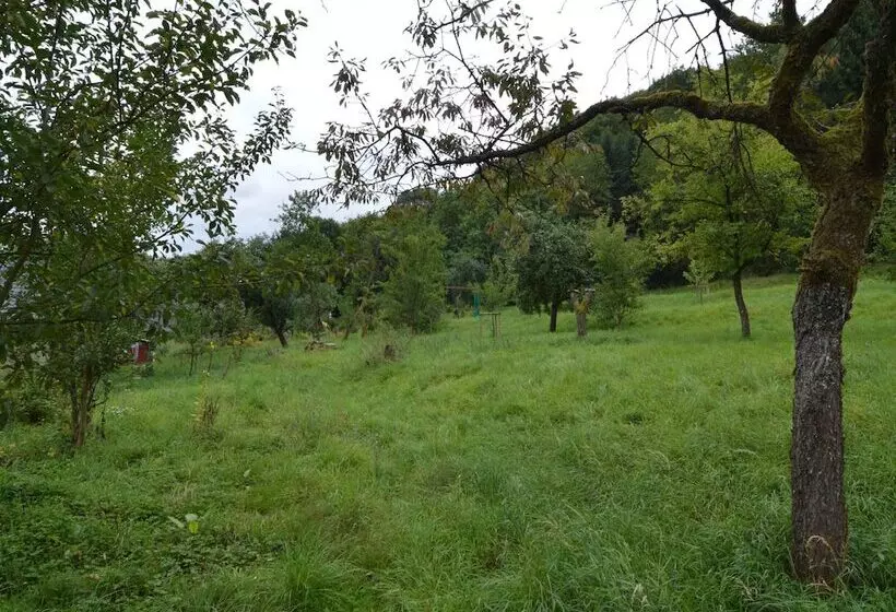 Cozy Apartment In Immerath Near Fishing