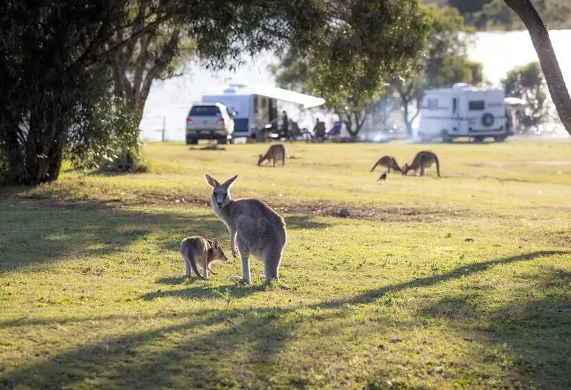 Hotelli Reflections Lake Glenbawn   Holiday Park