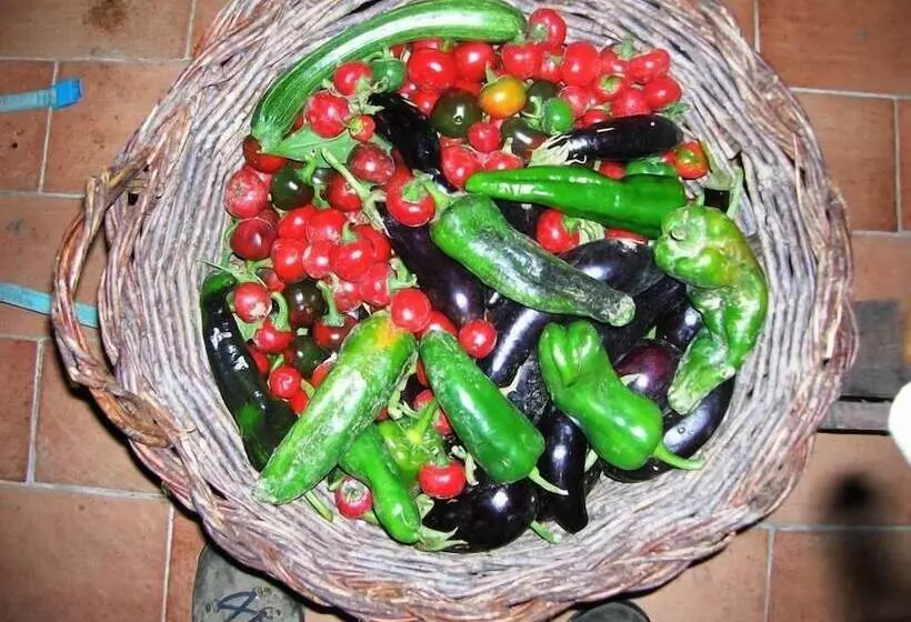 Maaseutuhotelli Azienda Agrituristica La Canestra