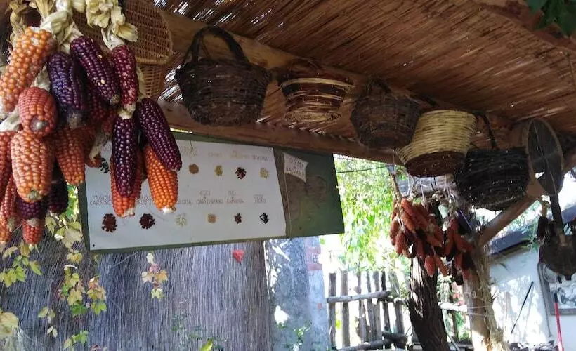 Maaseutuhotelli Azienda Agrituristica La Canestra