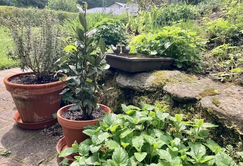 ペンション Penzion Vila Julie