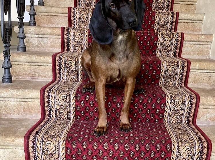 Panzió Penzion Vila Julie