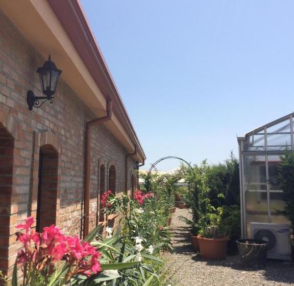 Società Agricola Mg Florplant