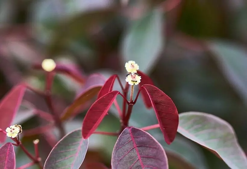 A View Of Mt Warning B&b