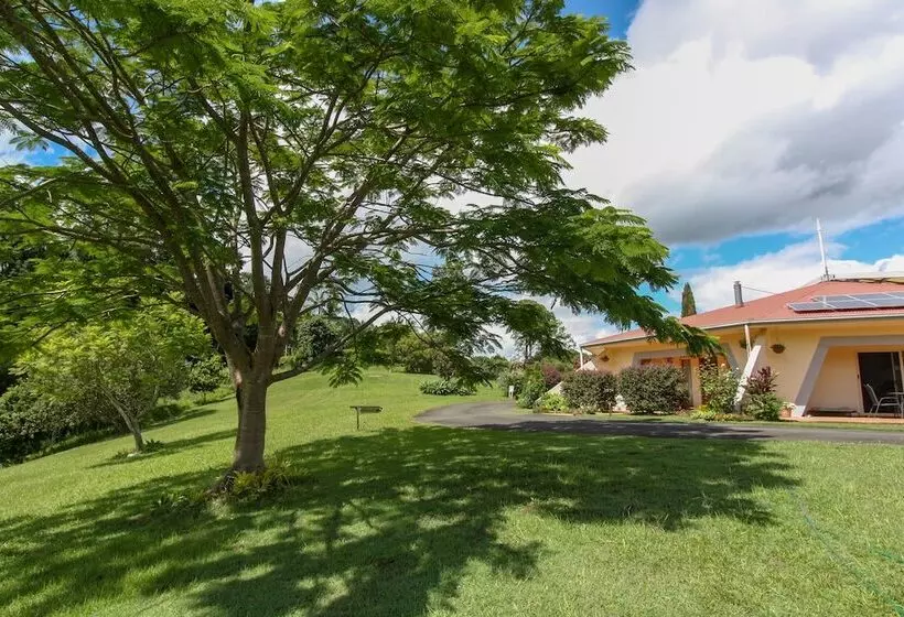 A View Of Mt Warning B&b