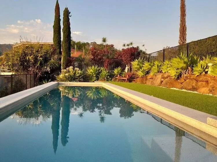 A View Of Mt Warning B&b