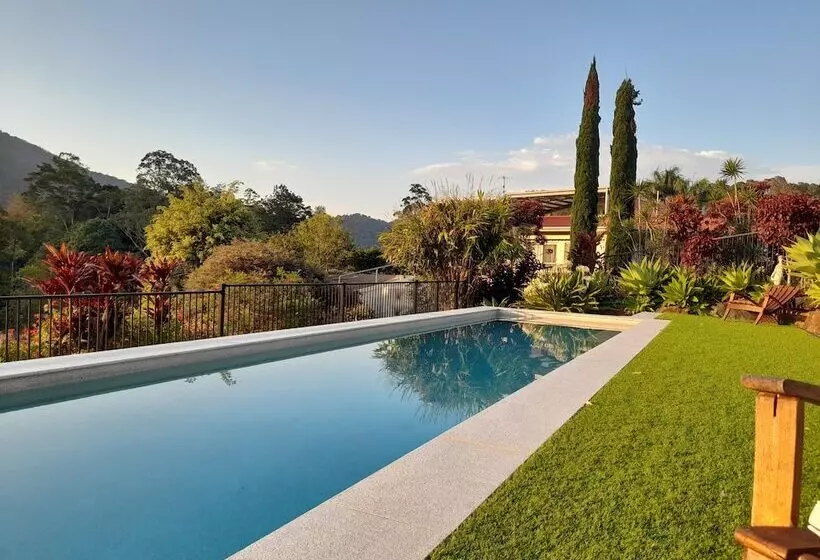 A View Of Mt Warning B&b