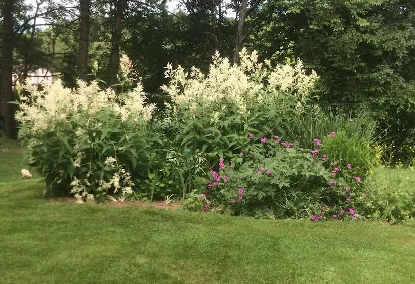 ベッドアンドブレックファースト Chambres D Hotes L Oree Des Vignes