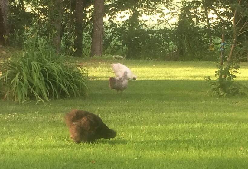 민박 Chambres D Hotes L Oree Des Vignes