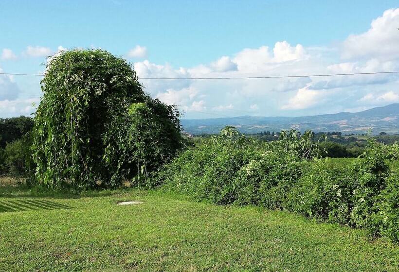Cozy Cottage In Graffignano Italy With Swimming Pool