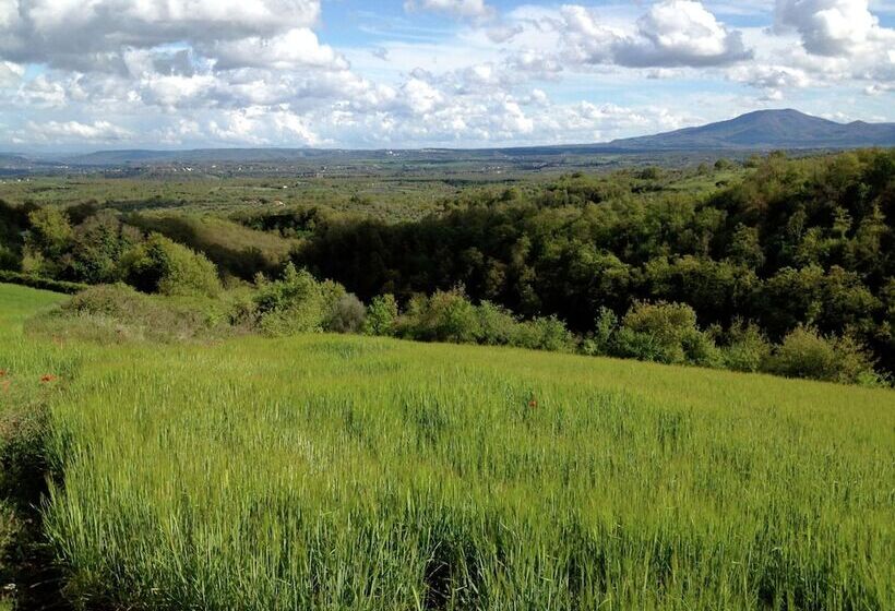 Cozy Cottage In Graffignano Italy With Swimming Pool
