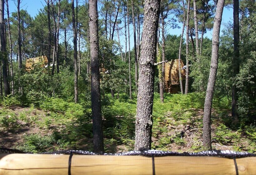 Отель Cap'cabane