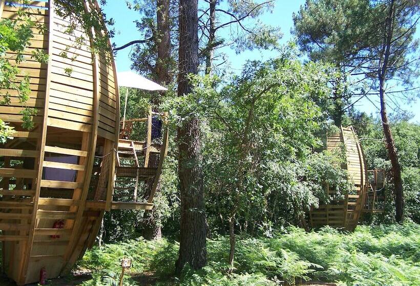 Отель Cap'cabane