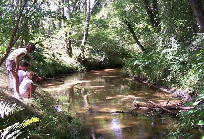 Отель Cap'cabane