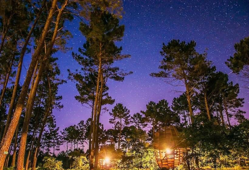 Отель Cap'cabane