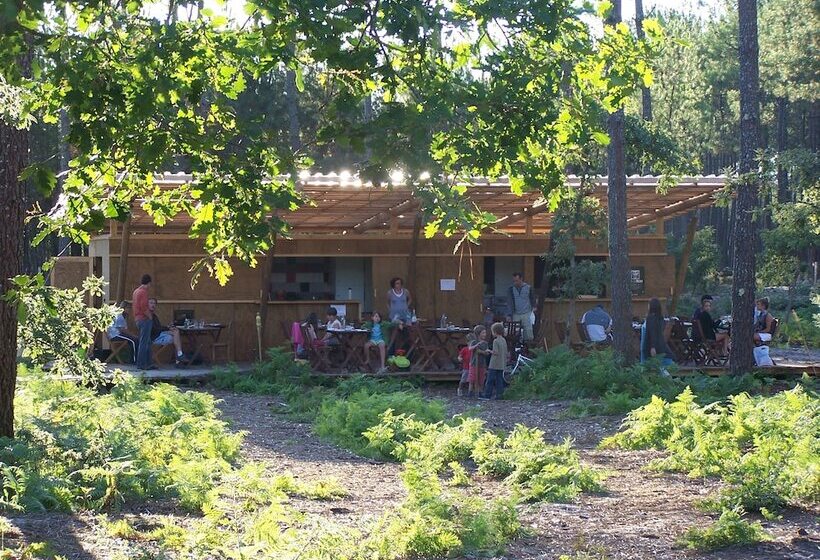 Отель Cap'cabane