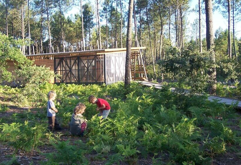 Отель Cap'cabane