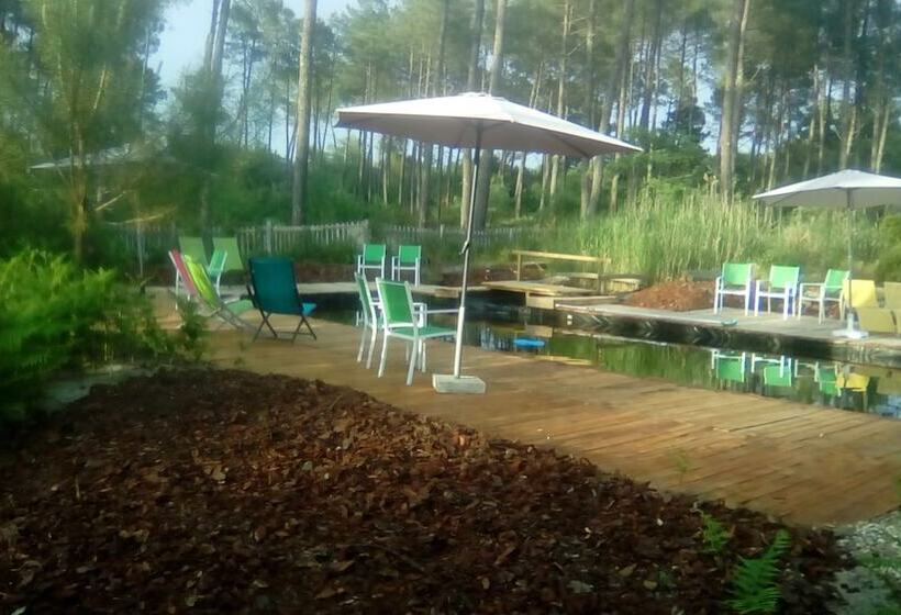 Отель Cap'cabane