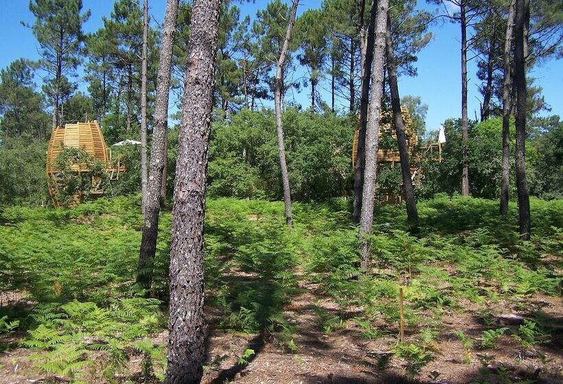 Отель Cap'cabane