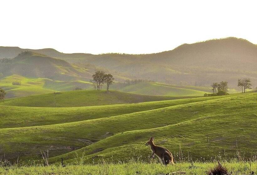 ホテル Ketchup's Bank Glamping