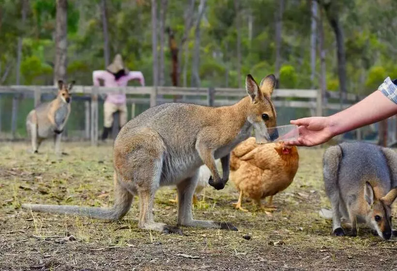 Hotelli Ketchup's Bank Glamping