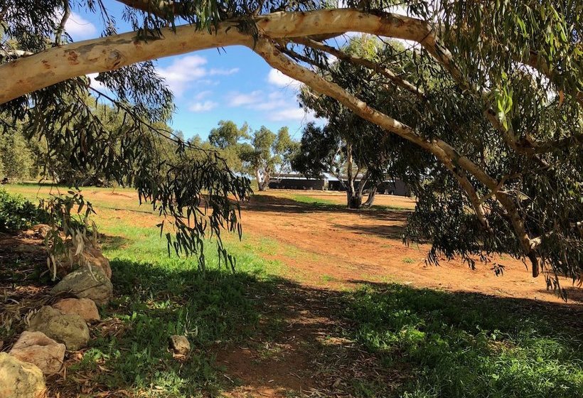 Отель Wooramel Riverside Retreat  Campground