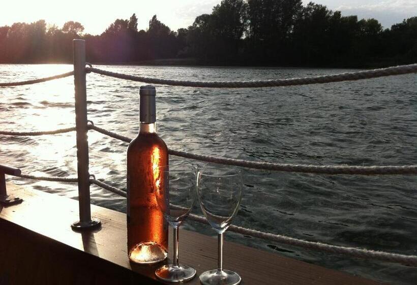 La Batelière Sur Loire