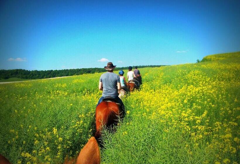 Panzió Au Mesnil Le Bas Bray