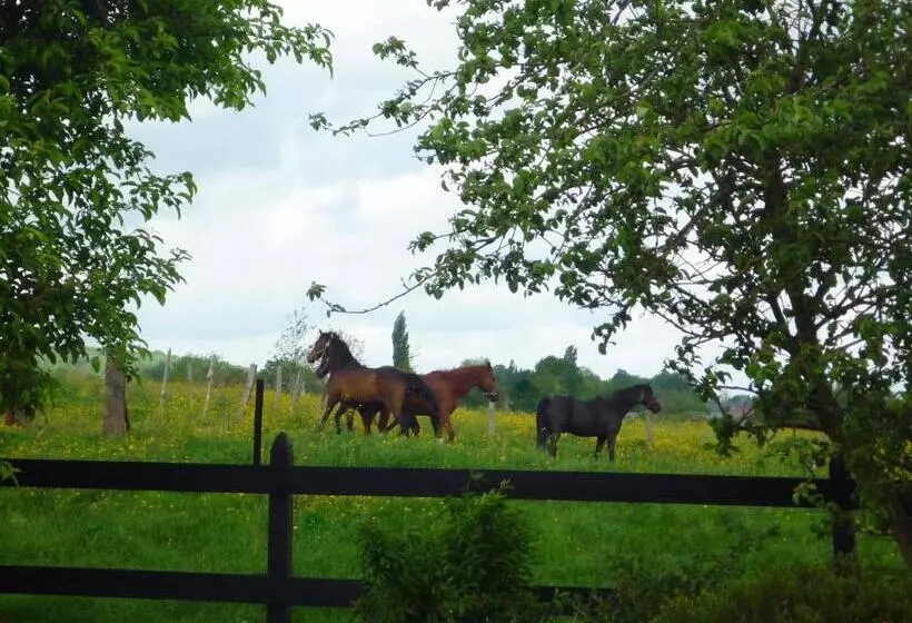 Majatalo Au Mesnil Le Bas Bray