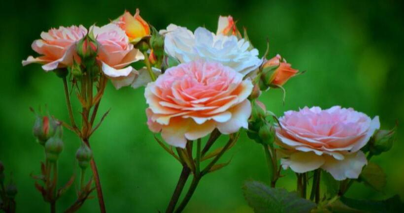 Panzió Au Mesnil Le Bas Bray