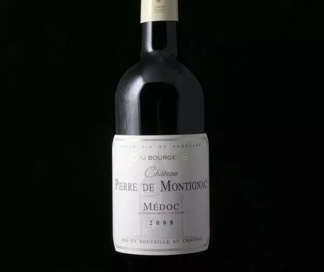 Majatalo Chambres D Hôtes Château Pierre De Montignac