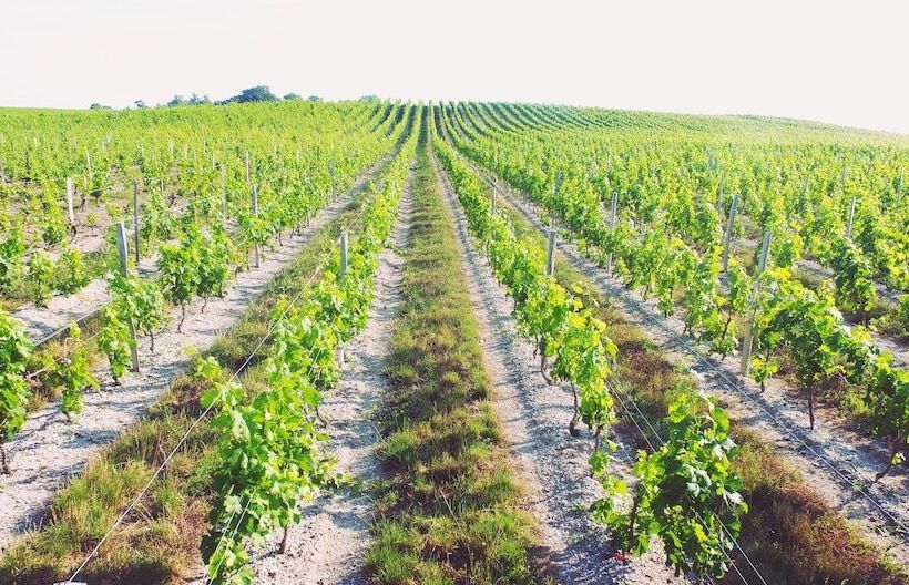 פנסיון Chambres D Hôtes Château Pierre De Montignac