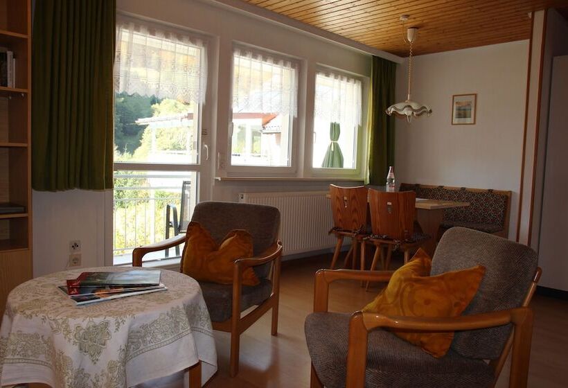 펜션 Gästehaus Steiert